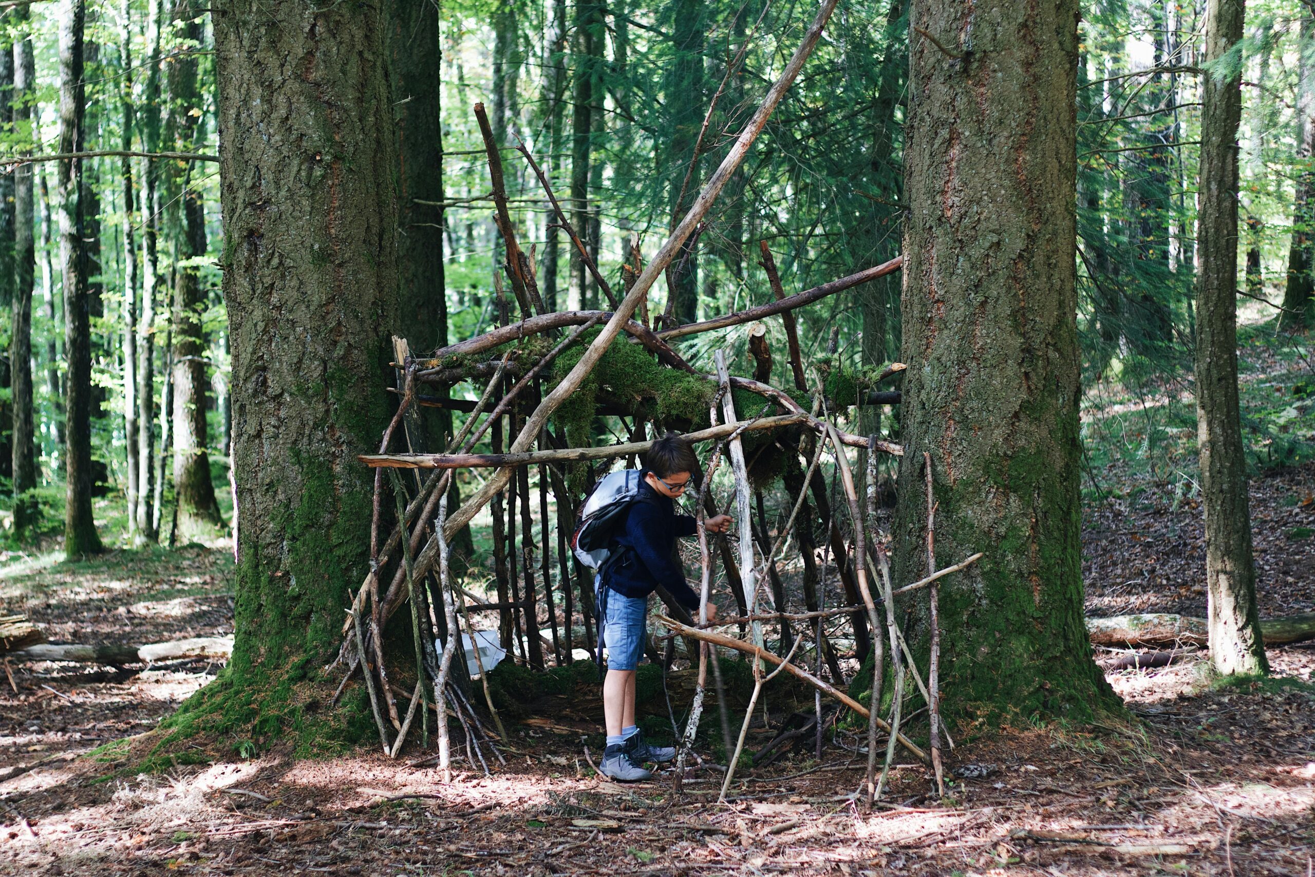 Enfant construisant une cabane en forêt